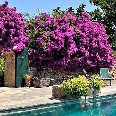 Rural Biniarroca - Adults Only