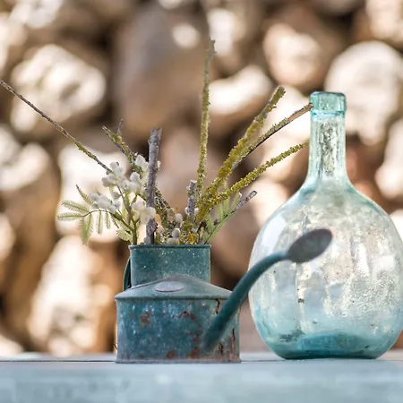 ホテル Rural Biniarroca - Adults Only サン・リュイス