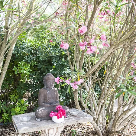 Rural Biniarroca - Adults Only ホテル 4*