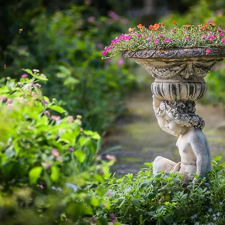 Rural Biniarroca - Adults Only