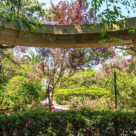 Rural Biniarroca - Adults Only