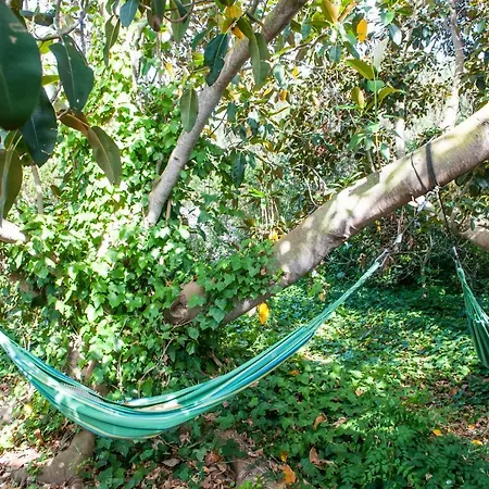 Отель Rural Biniarroca - Adults Only 4*