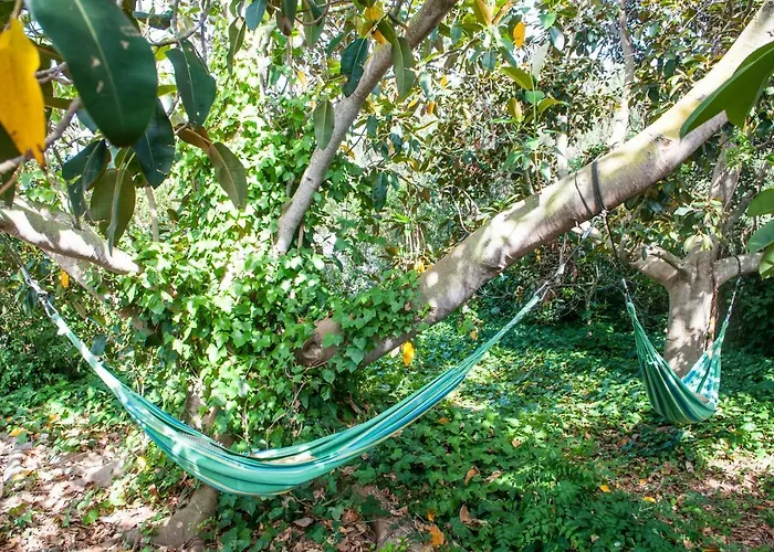 Hotel Rural Biniarroca - Adults Only 4*